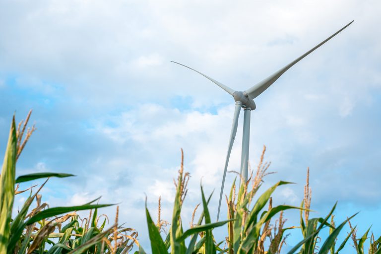 EnergieTEAM participe à la protection de notre planète !