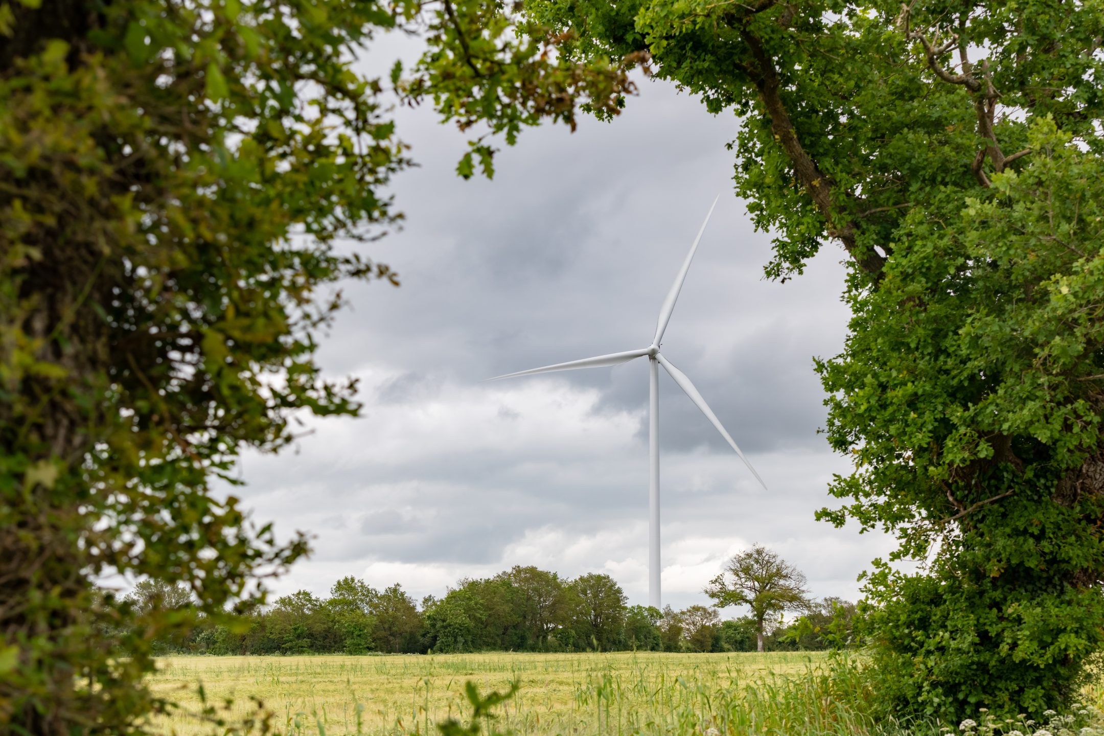 240528 Eolien VRITZ┬®Matthieu JOUBERT 025