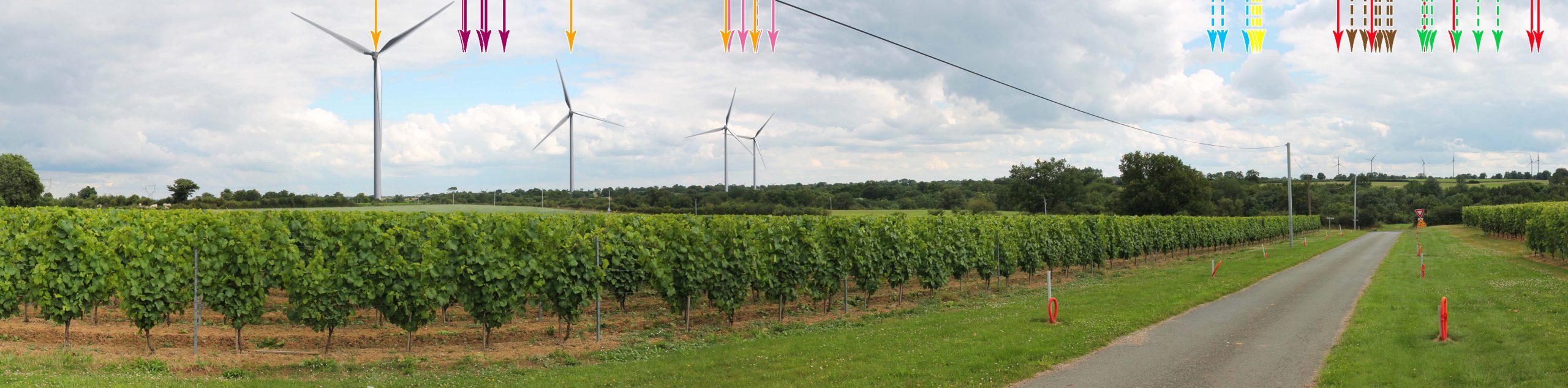 Un projet éolien à Bellevigne-en-layon