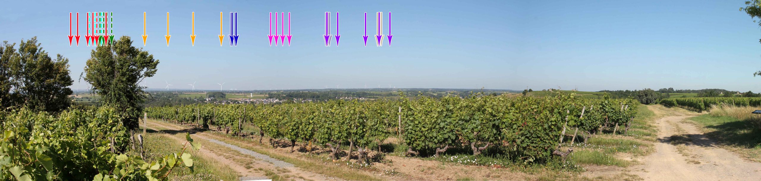Un projet éolien à Bellevigne-en-layon