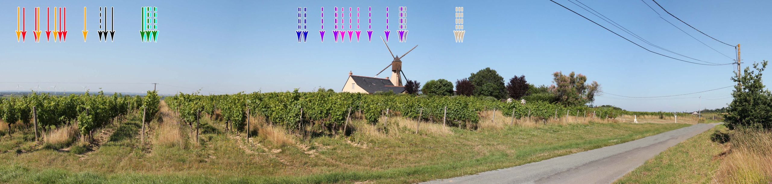 Un projet éolien à Bellevigne-en-layon