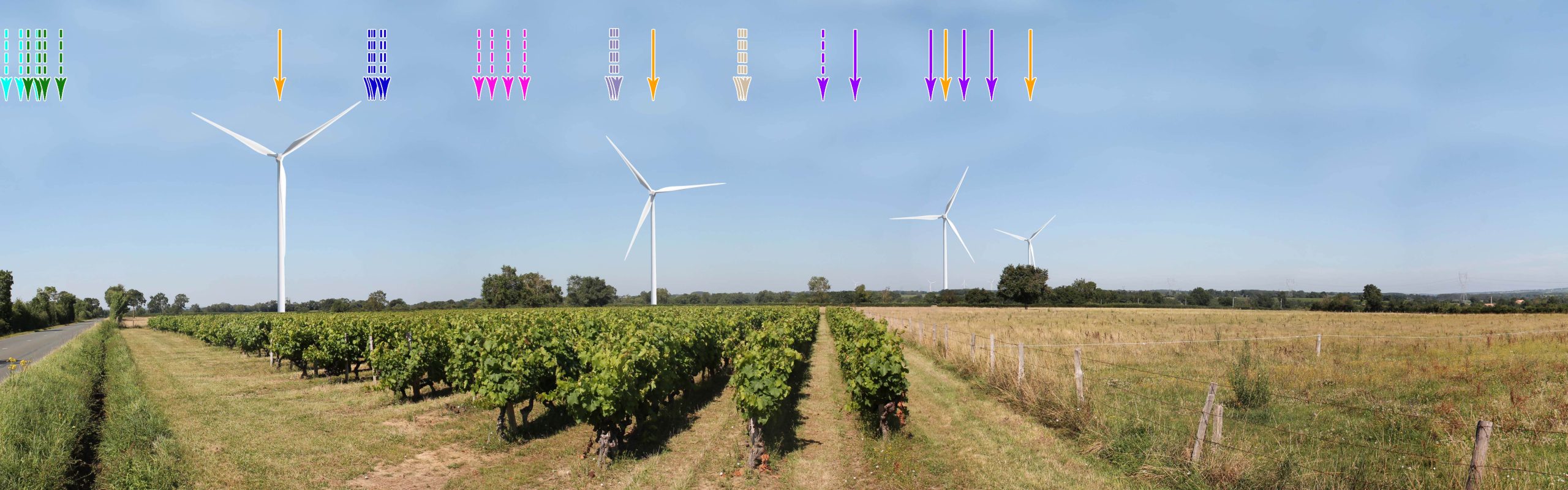 Un projet éolien à Bellevigne-en-layon