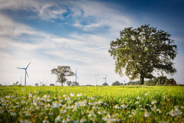 AGIR POUR LA BIODIVERSITE, UN ENGAGEMENT ! 🌿 🌍
