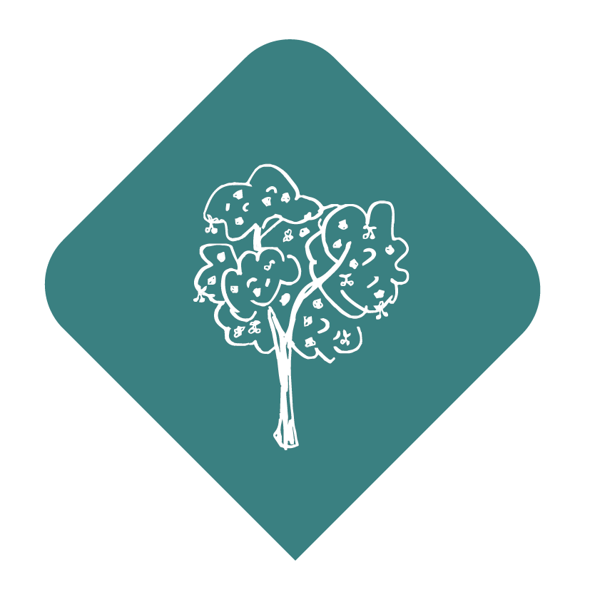 éléments page biodiversité 12