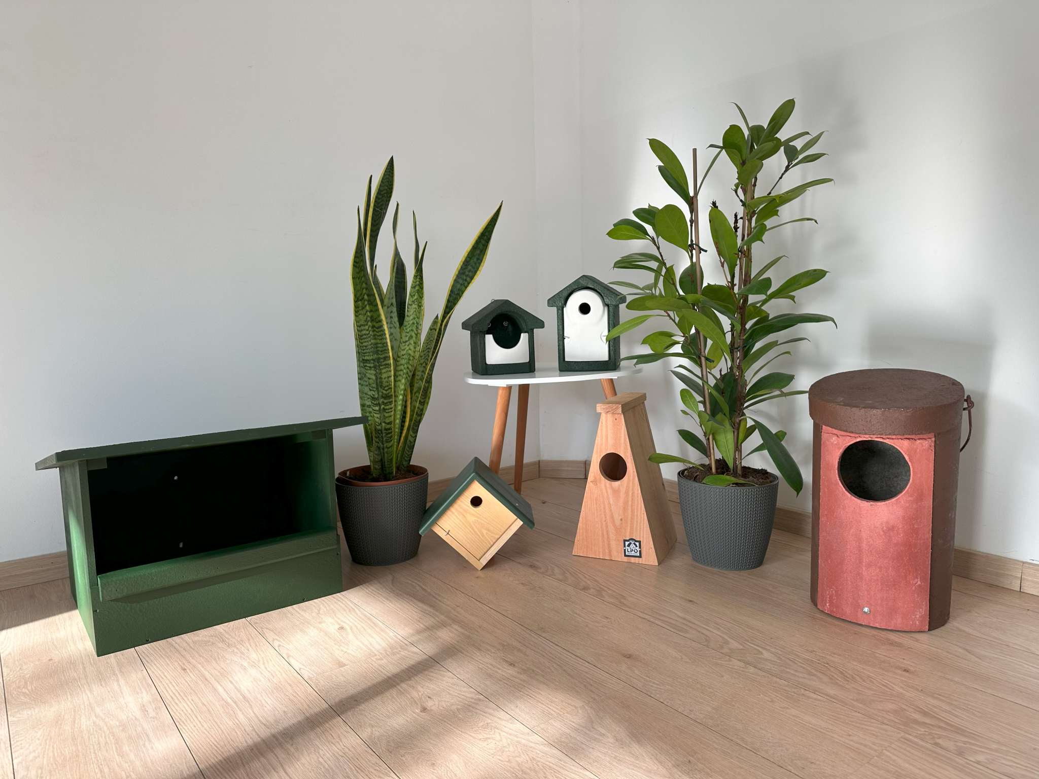 Photo article 2048x1536